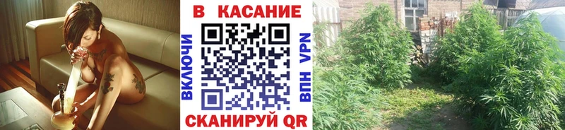 Где купить наркоту Алушта ГАШ  Alpha-PVP  Меф мяу мяу  Марихуана  гидра зеркало  Cocaine 
