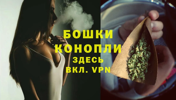 ПСИЛОЦИБИНОВЫЕ ГРИБЫ Медногорск